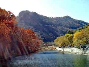 管家婆黑白马报图库，上海浦东机场停车